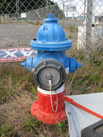 Teakwood by 101 - several hydrants have patriotic color schemes